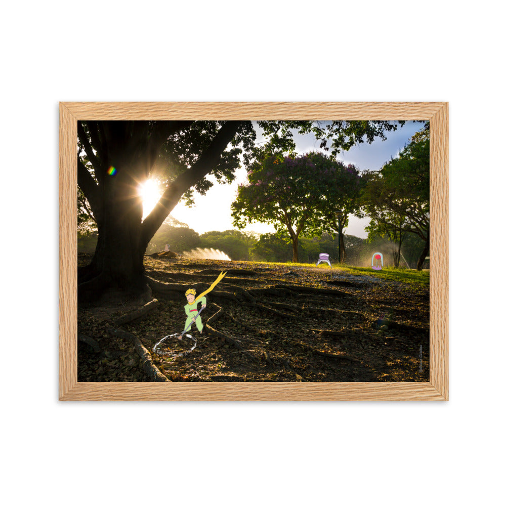 Caraqueño Little Prince 9 Framed matte paper photo