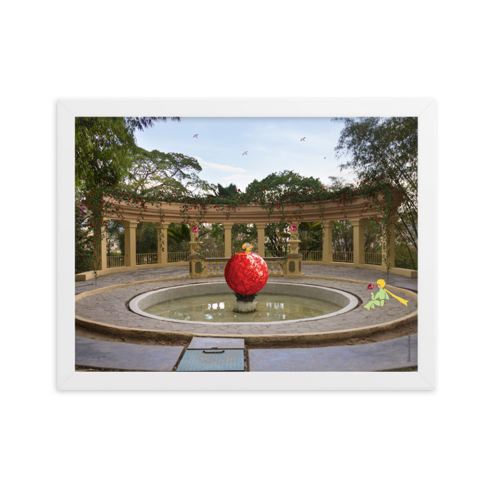 Caraqueño Little Prince 11 Framed matte paper photo