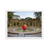 Caraqueño Little Prince 11 Framed matte paper photo